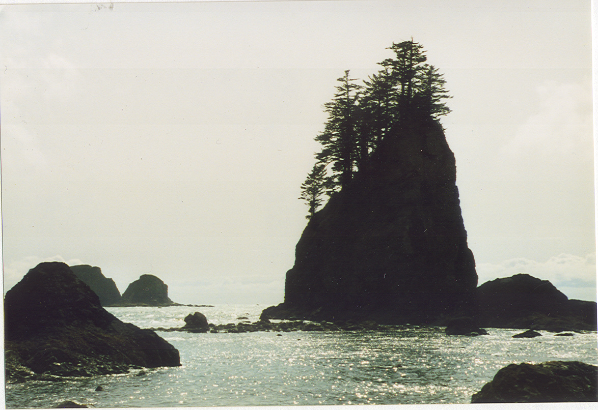 Washington State coastline